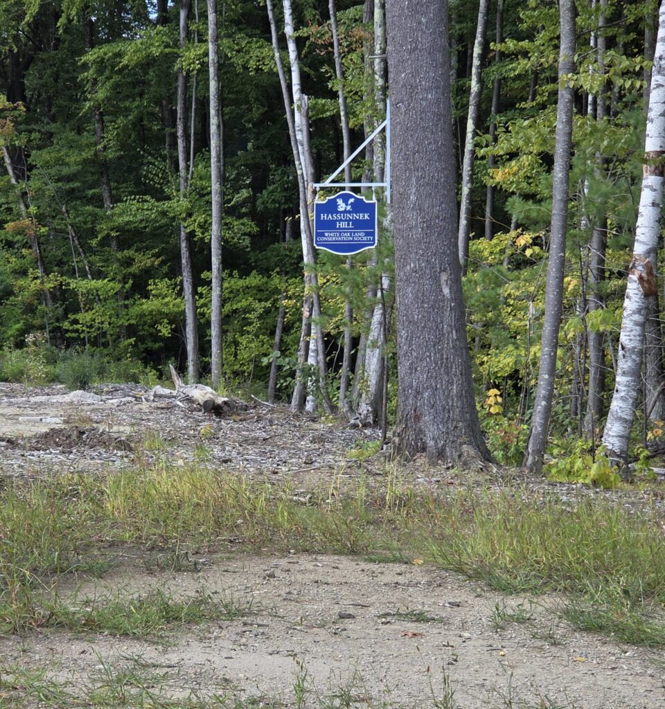 An image of a white sign with "Hassunnek Hill" in blue capital letters, framed by tall trees in the background and a patch of dirt and grass in the foreground.